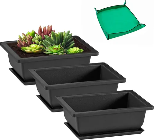GROWNEER 3 Macetas para Bonsái de 6.5 Pulgadas con Bandejas de Drenaje y Humedad y 1 Alfombrilla de Trasplante, Maceta de Entrenamiento para Árbol