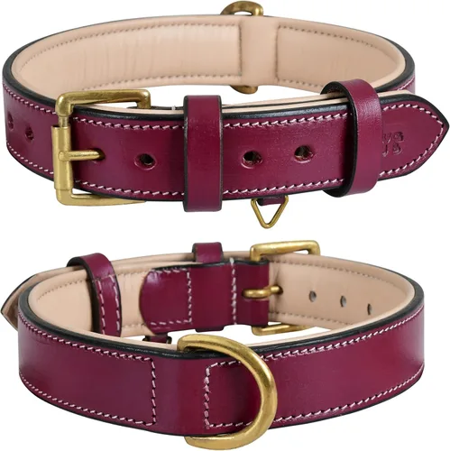 Miniatura 20 de Collar de perro de cuero para perros medianos, marrón, 1 pulgada de ancho, cuero genuino de grano completo, resistente con acolchado interior suave