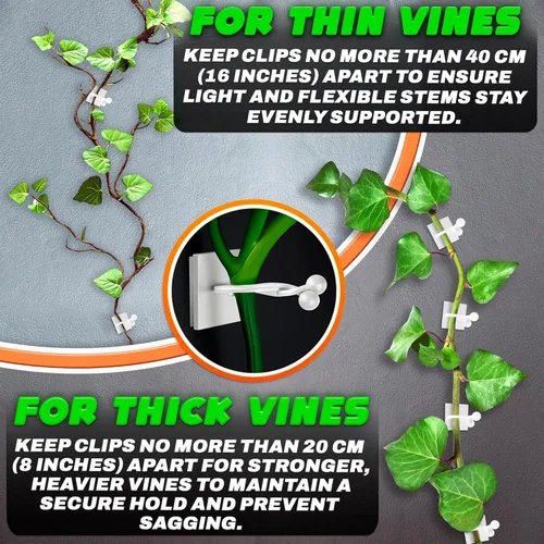 Miniatura 4 de 100 clips transparentes para plantas trepadoras de interior, clips de pared blancos y flexibles para plantas trepadoras para organizar enredaderas