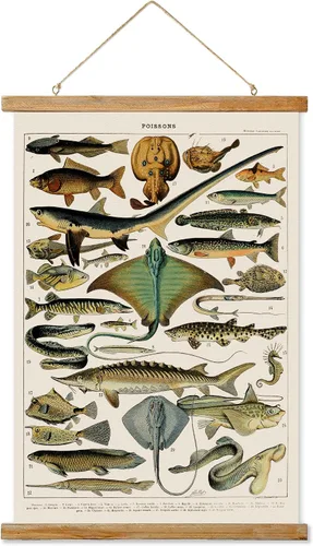 Miniatura 25 de Ovfovy Póster vintage de hongos con marco de madera, estilo retro de pintura botánica de pared, póster de tabla de referencia ilustrativa para sala