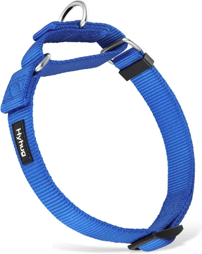 Collar Hyhug Pets de nailon resistente, cómodo y seguro, para entrenamiento profesional, martingala, uso diario, para caminar, antiescape, para Azul