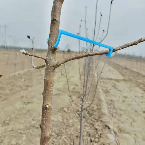 Miniatura 5 de Esparcidores de ramas para árboles frutales Esparcidor de ramas de manzano para apoyar nuevas ramas, plástico negro, 15 piezas y azul 15 piezas