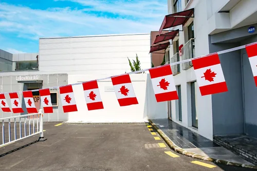 Miniatura 6 de Bandera de Canadá, bandera canadiense, 100 pies/76 unidades de banderines nacionales del mundo del país, suministros de decoración de fiesta