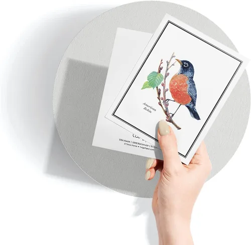 Miniatura 5 de Twigs Paper - Tarjetas de felicitación de aves americanas surtidas - Tarjetas de papelería con sobres, tarjeta de agradecimiento, tarjetas de notas