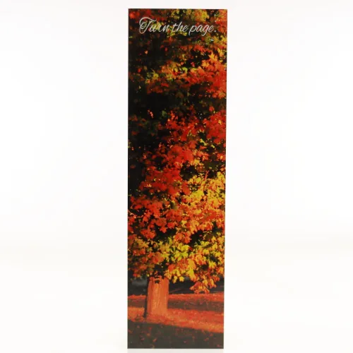 Marcapáginas de árboles de otoño, fotografía original, amantes de los libros, estudiantes, regalo para profesores, juego de 1