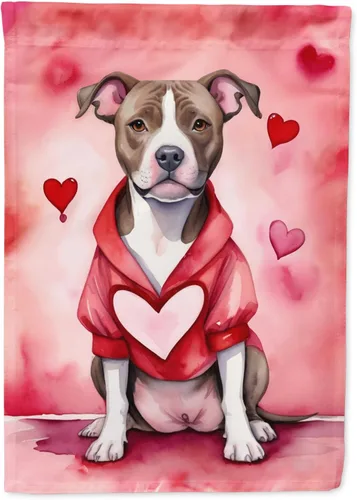 Miniatura 162 de Caroline's Treasures DAC5292CHF - Bandera de Border Collie My Valentine House para porche, grande, con manga para porche, para colgar en la pared
