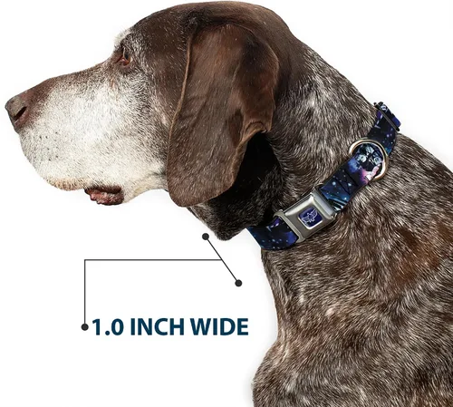 Miniatura 6 de Collar de perro hebilla de cinturón de seguridad Buzz Lightyear Poses Galaxy Blues 9 a 15 pulgadas 1.0 pulgadas de ancho
