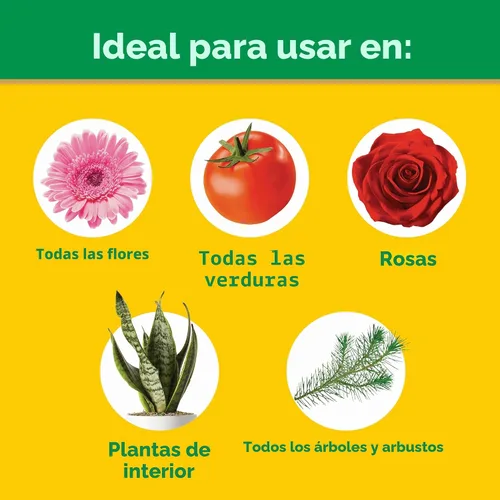 Miniatura 4 de Miracle-Gro Alimento vegetal multiusos soluble en agua, para todas las plantas de interior o exterior, rosas, flores, verduras, plantas