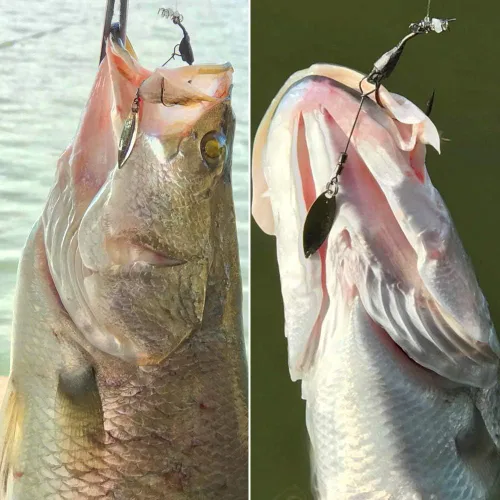 Miniatura 6 de Underspin-Jig-Heads-Swimbait-Hooks-with-Spinner Blades Pesca Anzuelos Pesados Paquete de 6