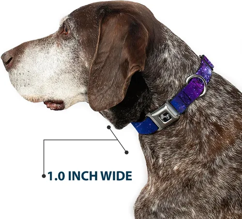 Miniatura 6 de Buckle-Down Collar de perro con hebilla de cinturón de seguridad, color azul galaxia/morado, 1 pulgada de ancho, se adapta a cuello de 9 a 15