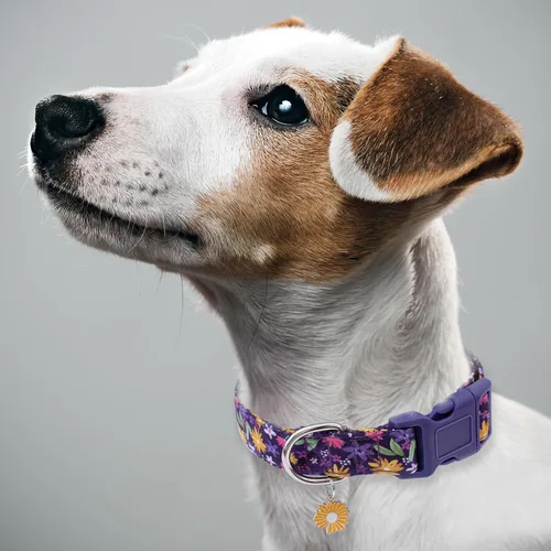 Miniatura 5 de Faygarsle Collar de Algodón para Perro Lindos Collares para Perros Pequeños Medianos Grandes Opciones de Colores Florales Púrpura Amarillo Collares