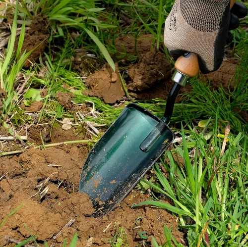 Miniatura 2 de Garden Helper Herramienta de mano de paleta de jardín grande, pala de mano para plantar y trasplantar, hoja de acero japonés resistente, mango