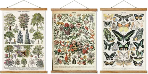 Miniatura 12 de Ovfovy Póster vintage de hongos con marco de madera, estilo retro de pintura botánica de pared, póster de tabla de referencia ilustrativa para sala