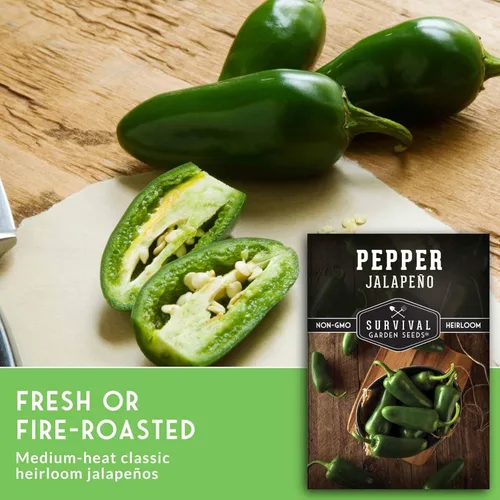 Miniatura 3 de Semillas de pimiento jalapeño para plantar, pimientos tradicionales sin OMG para encurtidos y salsas, semillas de jardín de supervivencia