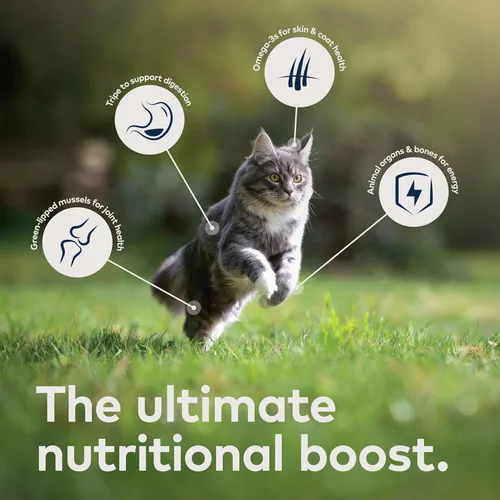 Miniatura 4 de ZIWI Peak Comida Húmeda para Gatos – Totalmente Natural, Alta en Proteínas, Sin Granos, Ingredientes Limitados, con Superalimentos