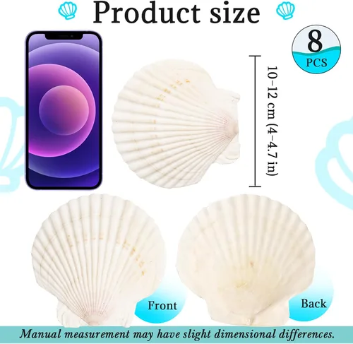 Miniatura 2 de 8 conchas de almeja para manualidades, conchas de vieira naturales de 4 a 5 pulgadas, conchas marinas grandes para manualidades, fiestas temáticas