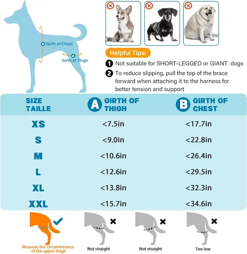 Miniatura 7 de Rodillera para perro para pierna trasera desgarrada, ajustable para pierna trasera con 5 estabilizadores, reduce el dolor, lesiones de ligamentos