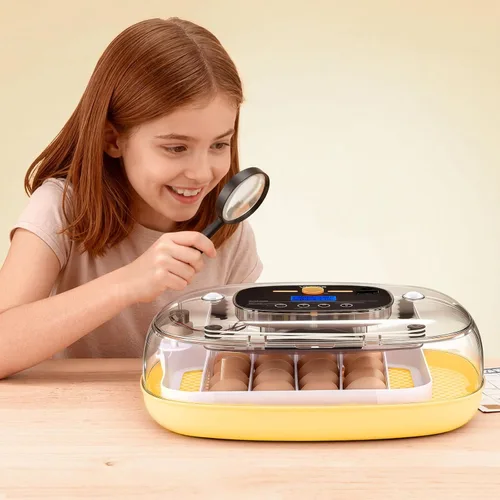 Miniatura 8 de VEVOR Incubadora de 24 huevos, volteador automático de huevos con vela LED, control de temperatura y humedad, ventana transparente de 360°