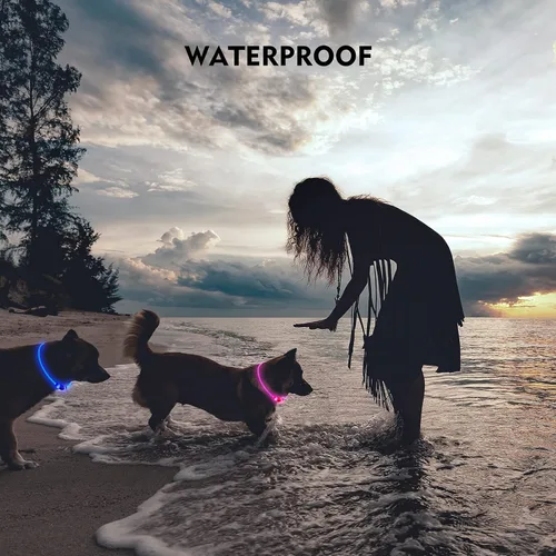 Miniatura 4 de NOVKIN Collar de perro con luz LED, collar de perro con luz recargable, luces para perros impermeables IP67 para caminar por la noche, collar de Rojo