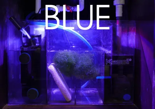 Miniatura 6 de Kessil Luz LED de cultivo de refugio de flora de atún H160