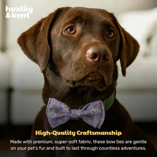 Miniatura 7 de Huxley & Kent Corbatín para mascotas para perros y gatos - Accesorio de collar ajustable de gancho y velcro de primavera y Pascua - Lindo y cómodo
