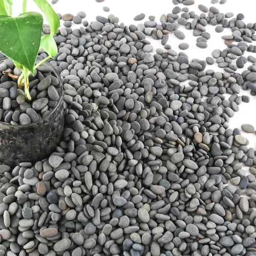 Miniatura 18 de Piedras de río de 2.4 libras para plantas y suculentas, paisajismo decorativo al aire libre y rocas de jardín de acuarios