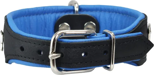 Miniatura 4 de Dogs My Love Collar de perro acolchado de cuero suave de cuero real, Bull Terrier, 1.75 pulgadas de ancho.