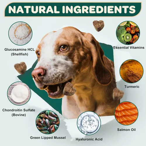 Miniatura 4 de Glucosamina para perros, suplemento de cadera y articulaciones para perros con condroitina, MSM, cúrcuma, omega-3 y calcio, la glucosamina