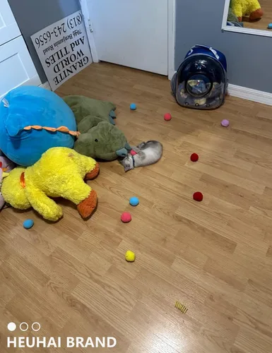 Miniatura 3 de Paquete de 40 pelotas para gatos - Divertidos juguetes interactivos para gatos y gatitos de interior (tiempo de juego)