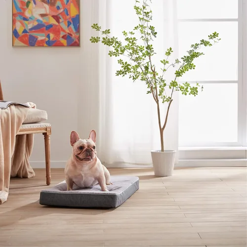 Miniatura 2 de Cama ortopédica de espuma viscoelástica para perros, camas refrescantes para perros medianos, camas lavables para mascotas para jaula con funda