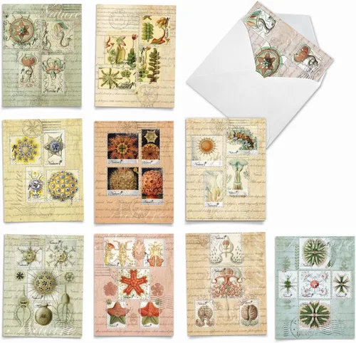 Miniatura 11 de The Best Card Company - 10 tarjetas en caja de la bandera estadounidense en blanco (4 x 5.12 pulgadas) - Tarjetas patrióticas surtidas para todas