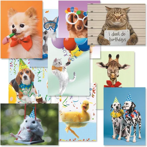Set de tarjetas de cumpleaños con fotos de animales para niños de Current - Paquete de 20 tarjetas para niños con sobres blancos, 10 diseños,