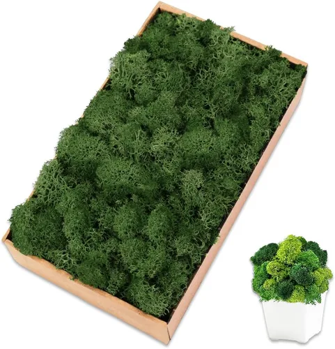 Miniatura 24 de Musgo de reno amarillo preservado de 3.5 onzas para plantas en maceta, decoración artesanal para arte de pared, musgo falso para decoración