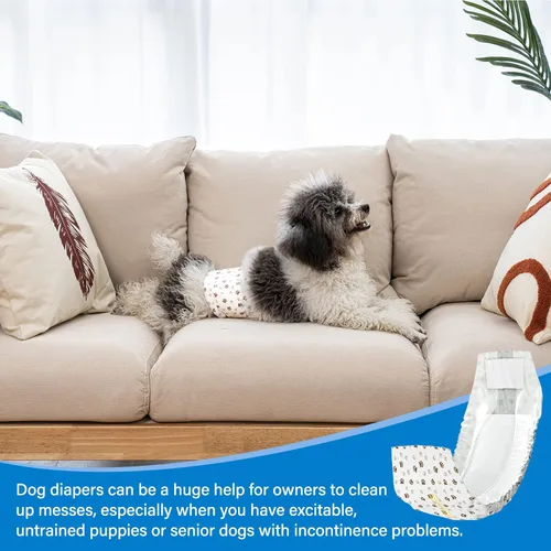 Miniatura 7 de Pañales desechables para perros machos Pet Soft - Envolturas masculinas desechables con indicador de humedad, pañales para perros súper absorbentes