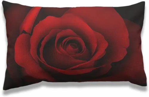 Miniatura 24 de AOYEGO Funda de almohadón de bicicleta 12x20 pulgadas, diseño vintage rústico de rosa de jardín, flor rosa en bicicleta, fundas de almohada