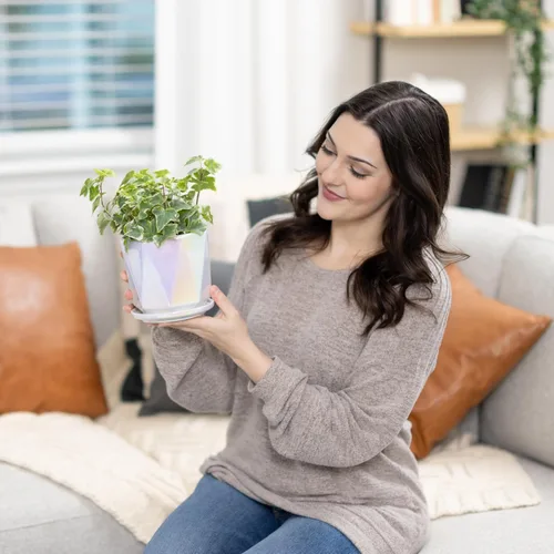 Miniatura 6 de Coco Andrea Macetas de cerámica para plantas de interior con drenaje y platillos, macetas blancas iridiscentes de 5 pulgadas para plantas