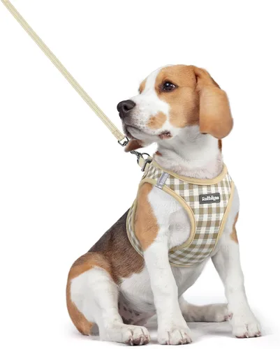 Miniatura 54 de rabbitgoo Juego de arnés para perro de tamaño pequeño y correa, chaleco ligero suave para cachorro, arnés de malla transpirable para mascotas