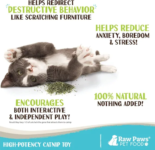 Miniatura 2 de Raw Paws Hierba Gatera Fresca para Gatos, 1-oz (2 Tazas) - Uso para Juguetes de Hierba Gatera Recargables para Gatos - Hierba Gatera Seca Natural