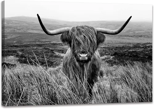 Arte de pared de vaca de las tierras altas, decoración de pared de animales en blanco y negro, lienzo con imagen de vaca, pinturas enmarcadas para