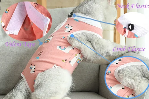 Miniatura 3 de Traje de recuperación para gatos, enterizo para gatos después de la cirugía, esterilización quirúrgica, heridas abdominales, enfermedades