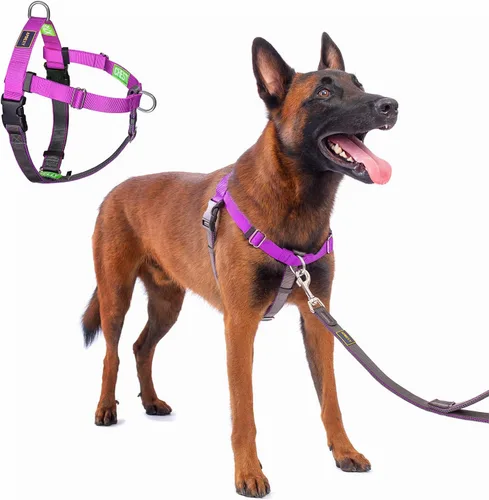 Miniatura 16 de Freedom - Arnés para perro sin tirones, fácil de caminar, deja de tirar con dos anillos en D de acero inoxidable, cómodo, etiquetas de instrucciones