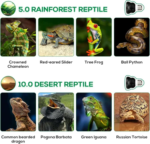 Miniatura 5 de Bombilla de luz de reptil UVB de alta intensidad 5.5 W 5.0 espectro completo UVA UVB para reptiles que simulan la luz solar promueve la síntesis