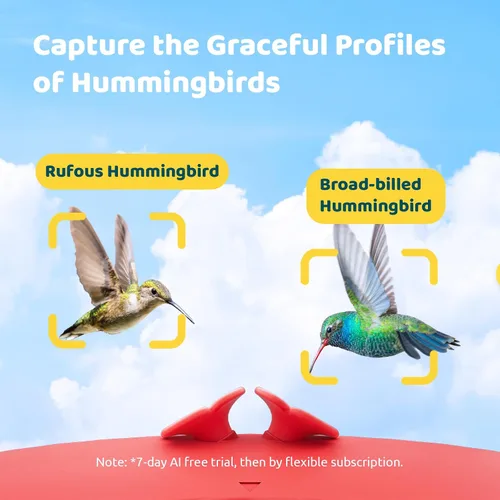 Miniatura 3 de Birdfy Alimentador de Colibríes con Cámara, Grabación Automática de Video de Aves, Notificación Instantánea, Vista en Vivo, Comederos Inteligentes