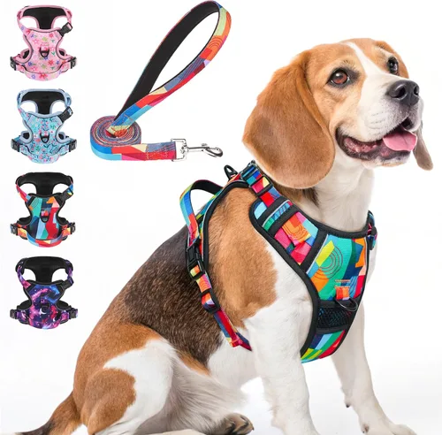 Miniatura 15 de BEAUTYZOO Arnés para perro sin tirones pequeño, juego de arnés y correa ajustable para perro - Fácil de usar con 3 hebillas/mango de control, arnés