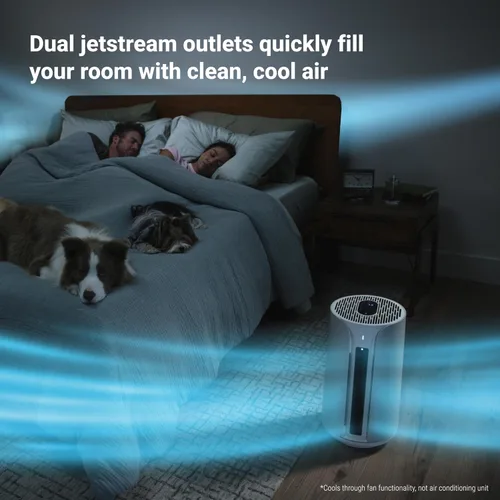 Miniatura 8 de BLUEAIR ComfortPure - Purificador de aire 3 en 1 más potente de refrigeración, calefacción, purificador de aire, HEPASilent para el hogar, mascotas