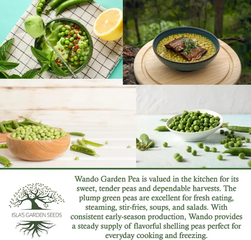 Miniatura 6 de Semillas de guisantes Wando Garden para plantar, más de 50 semillas de reliquia por paquete, semillas de jardín de Isla