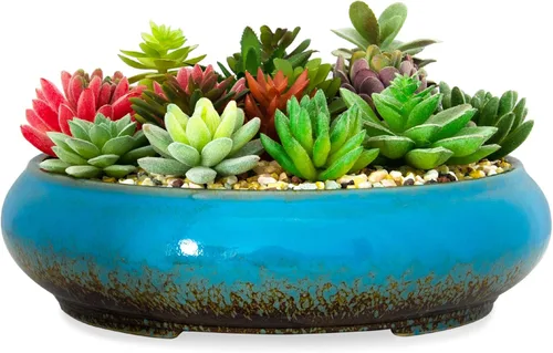 Macetas para suculentas, macetas de cerámica para bonsái de 11.5 pulgadas con drenaje, macetas grandes y poco profundas para plantas de interior y