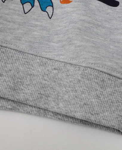 Miniatura 6 de LOKTARC Paquete de 2 sudaderas para niños pequeños con estampado de manga larga y cuello redondo