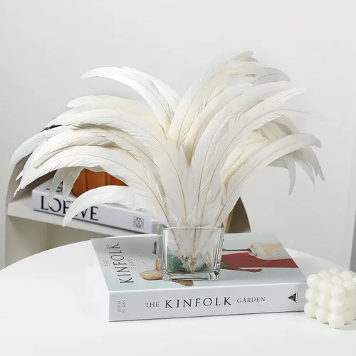 Miniatura 5 de Holmgren Plumas de Cola de Gallo Color Blanco Hueso - 60 piezas Plumas de Cola de Gallo Grandes de 12-14 pulgadas al Por Mayor para Manualidades