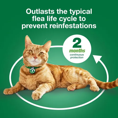 Miniatura 9 de Advantage XD - Prevención y tratamiento de pulgas para gatos pequeños 1.8-9lbs. 4 dosis tópicas, 2 meses de protección por dosis